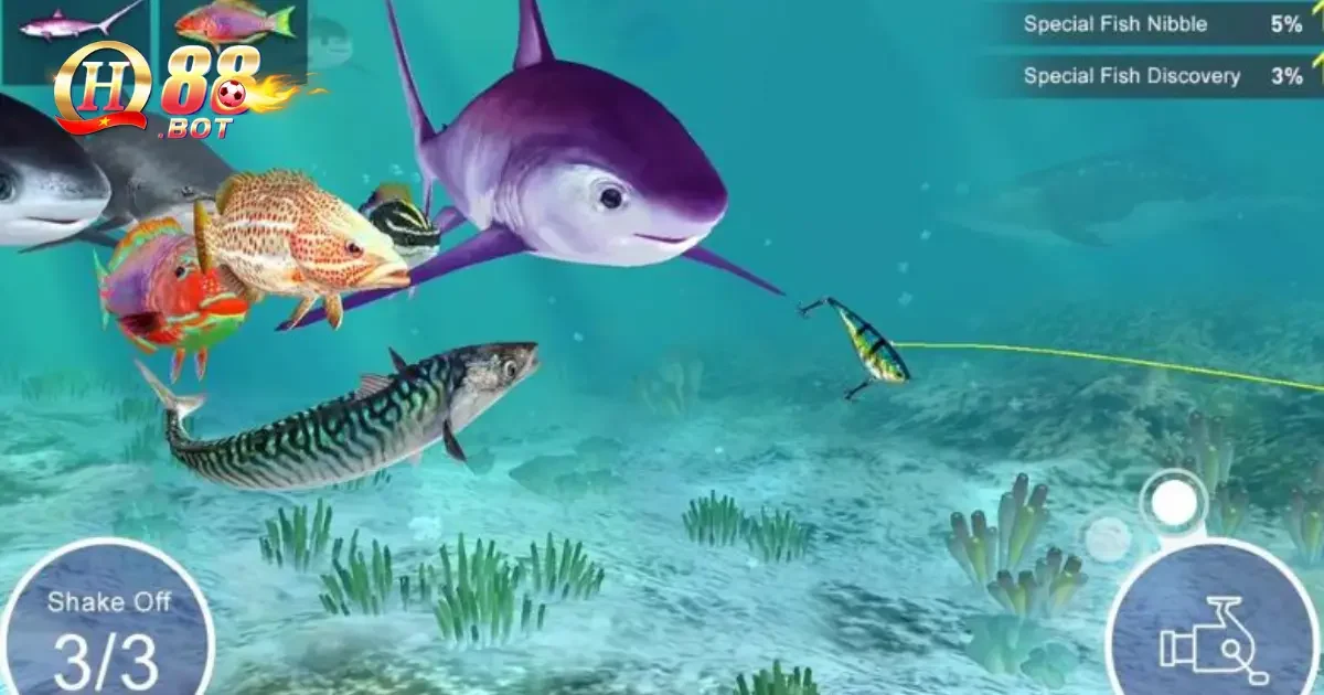 Bài Câu Cá QH88 – Game Thư Giãn Với Phần Thưởng Hấp Dẫn 3 Luật chơi cơ bản